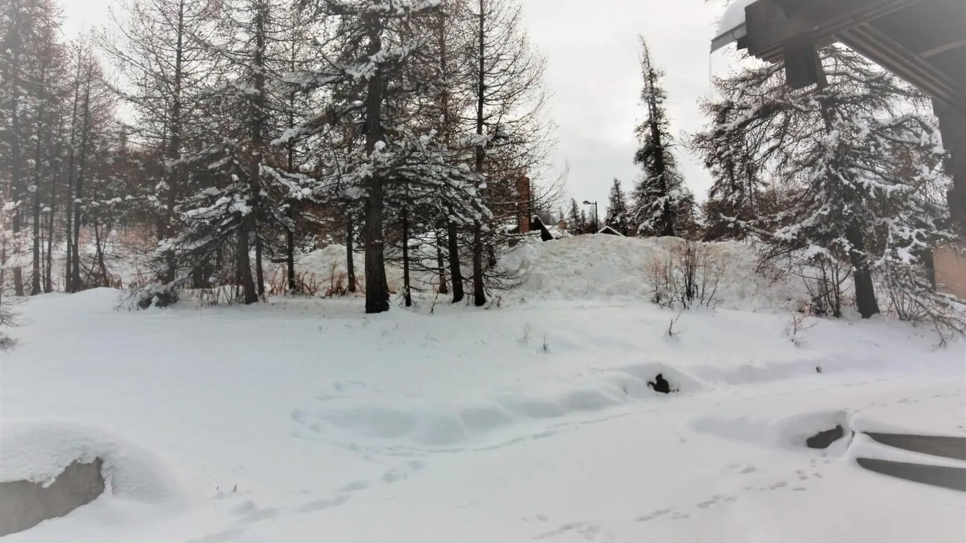 Casa-Foret Blanche Splendid Chalet 13P ريسول